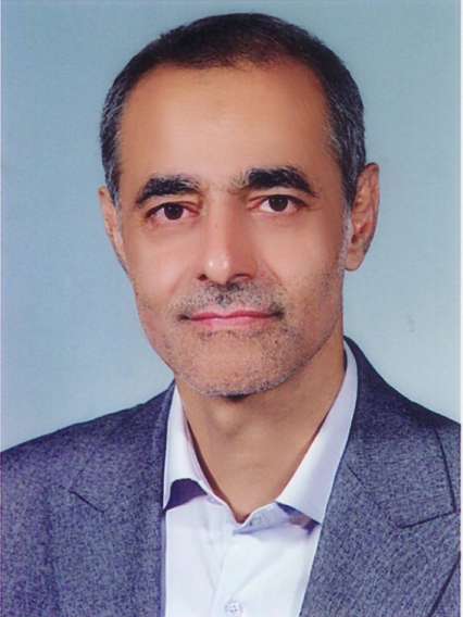 سید مجید صابری فتحی