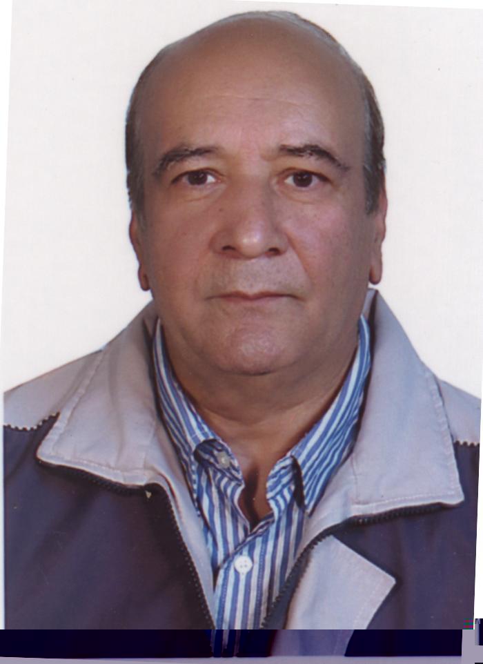 محمد حسینی